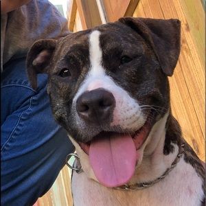 Meet your Posher, Gianna